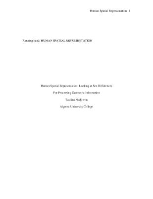 Human spatial representation : looking at sex differences for processing geometric information