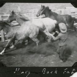 Photo album page twenty-nine