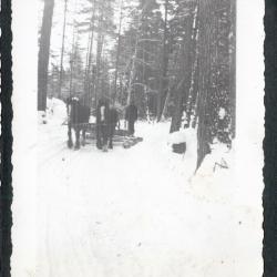 Photo album pp. 31-32 : McFadden&#039;s lumber camps (Dr. Hamill, camp cabins, etc.)