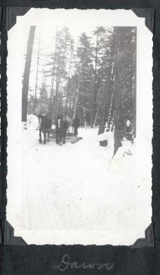 Photo album pp. 31-32 : McFadden's lumber camps (Dr. Hamill, camp cabins, etc.)