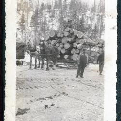 Photo album pp. 31-32 : McFadden&#039;s lumber camps (Dr. Hamill, camp cabins, etc.)