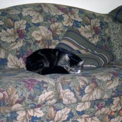 Miscellaneous photographs